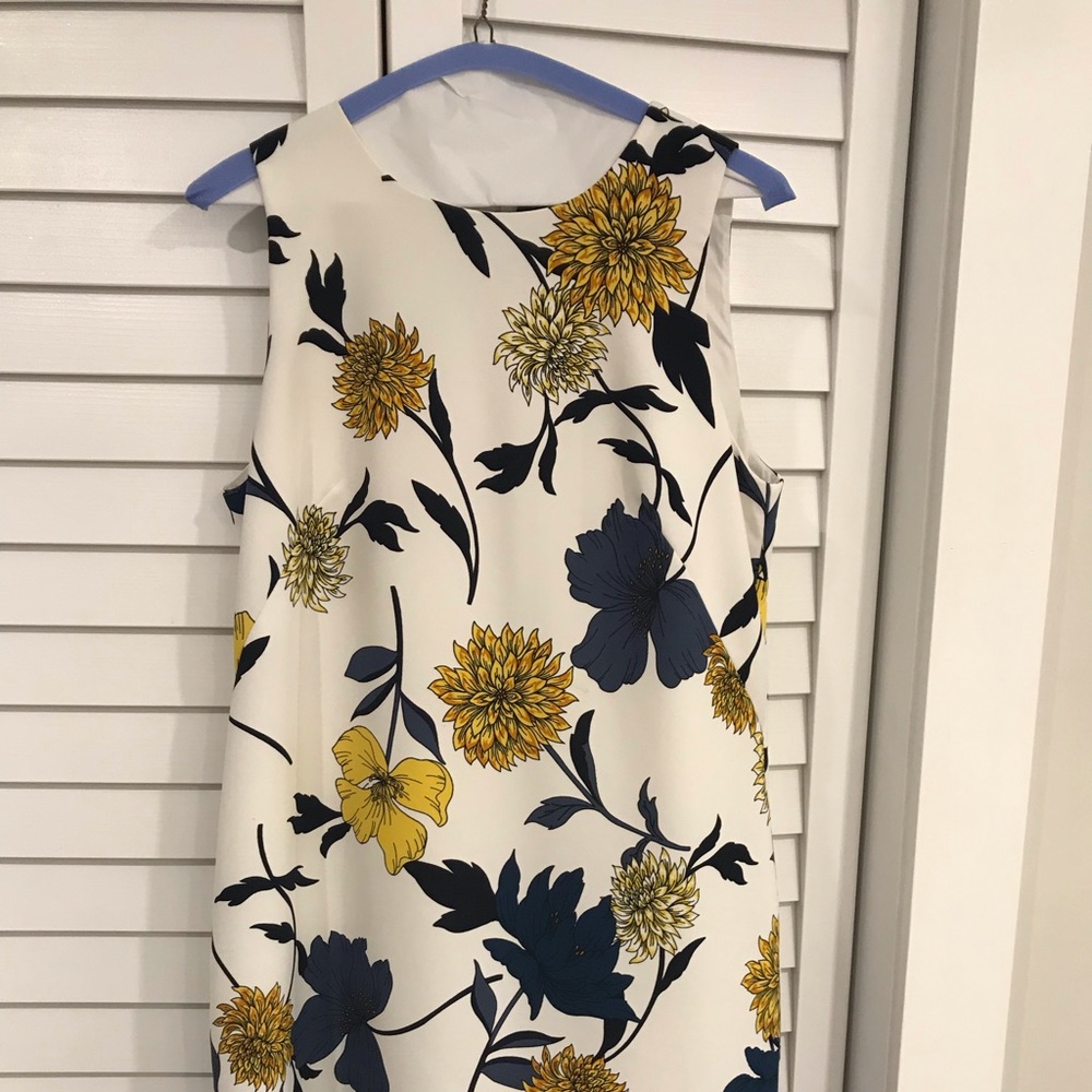 Ann Taylor Factory Shift Dress
